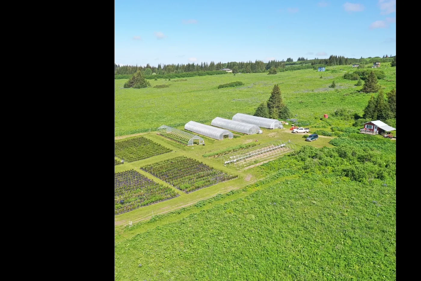 Cultivated fields and growing structures at Red Cabin Farm